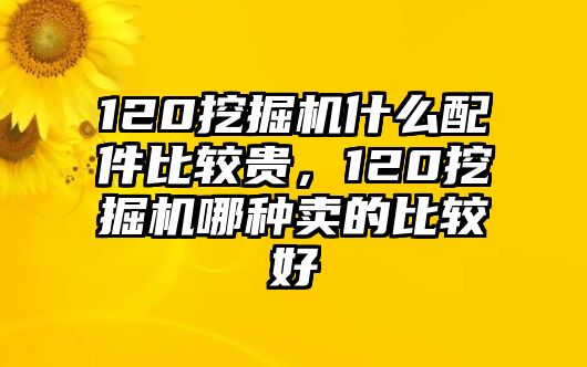 120挖掘機什么配件比較貴，120挖掘機哪種賣的比較好