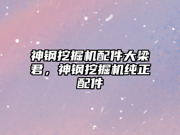 神鋼挖掘機配件大梁君，神鋼挖掘機純正配件