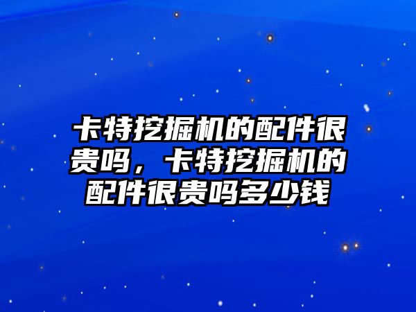 卡特挖掘機的配件很貴嗎，卡特挖掘機的配件很貴嗎多少錢