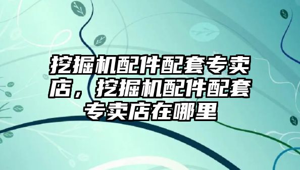 挖掘機配件配套專賣店，挖掘機配件配套專賣店在哪里