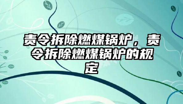 責(zé)令拆除燃煤鍋爐，責(zé)令拆除燃煤鍋爐的規(guī)定