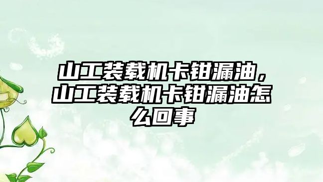 山工裝載機卡鉗漏油，山工裝載機卡鉗漏油怎么回事