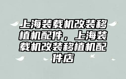 上海裝載機(jī)改裝移植機(jī)配件，上海裝載機(jī)改裝移植機(jī)配件店