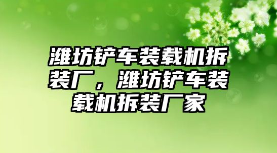 濰坊鏟車裝載機(jī)拆裝廠，濰坊鏟車裝載機(jī)拆裝廠家