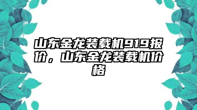 山東金龍裝載機(jī)919報(bào)價(jià)，山東金龍裝載機(jī)價(jià)格