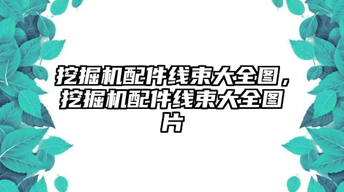 挖掘機配件線束大全圖，挖掘機配件線束大全圖片