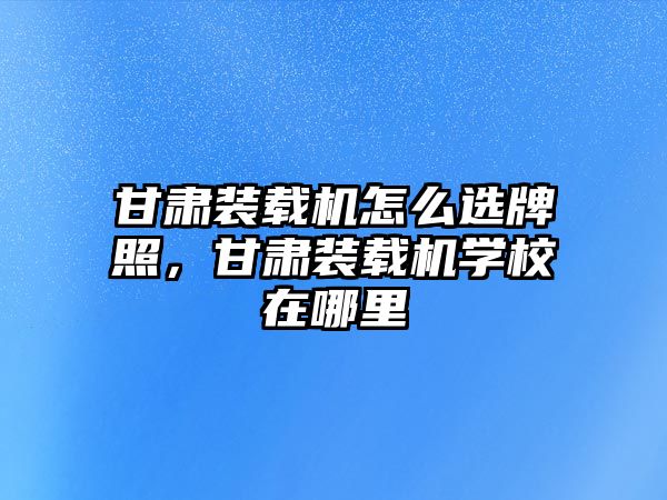 甘肅裝載機怎么選牌照，甘肅裝載機學校在哪里