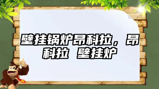 壁掛鍋爐昂科拉，昂科拉 壁掛爐