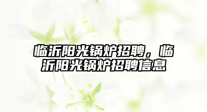 臨沂陽光鍋爐招聘，臨沂陽光鍋爐招聘信息