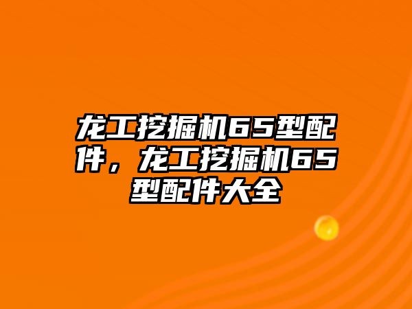 龍工挖掘機65型配件，龍工挖掘機65型配件大全