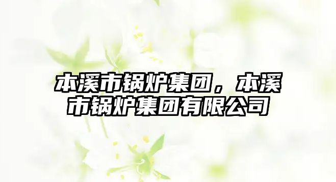 本溪市鍋爐集團(tuán)，本溪市鍋爐集團(tuán)有限公司