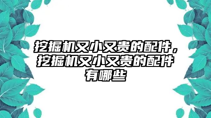 挖掘機(jī)又小又貴的配件，挖掘機(jī)又小又貴的配件有哪些