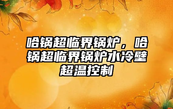 哈鍋超臨界鍋爐，哈鍋超臨界鍋爐水冷壁超溫控制