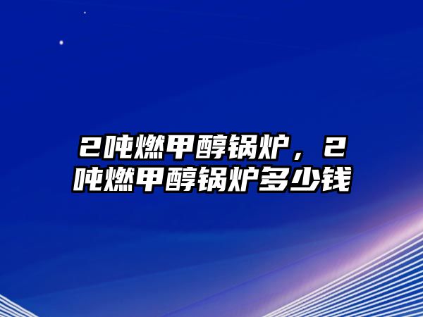 2噸燃甲醇鍋爐，2噸燃甲醇鍋爐多少錢