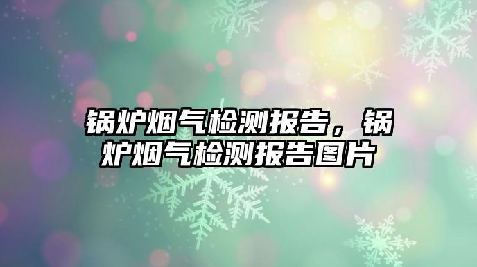 鍋爐煙氣檢測報(bào)告，鍋爐煙氣檢測報(bào)告圖片