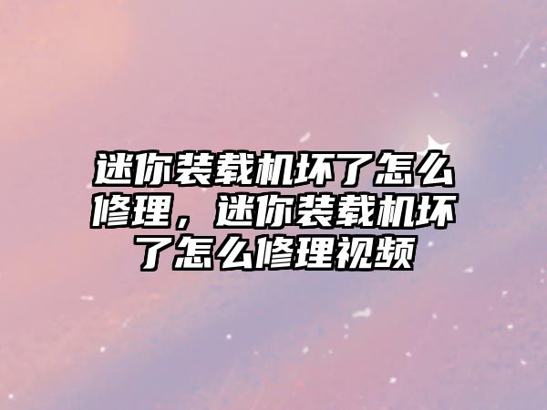 迷你裝載機壞了怎么修理，迷你裝載機壞了怎么修理視頻