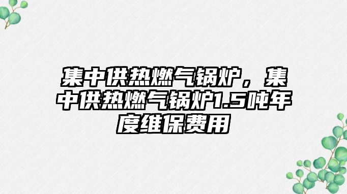 集中供熱燃氣鍋爐，集中供熱燃氣鍋爐1.5噸年度維保費用