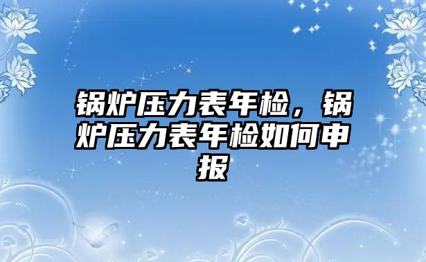 鍋爐壓力表年檢，鍋爐壓力表年檢如何申報(bào)