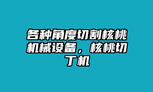 各種角度切割核桃機械設備，核桃切丁機