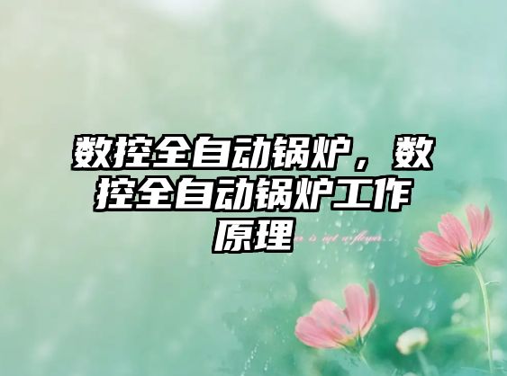 數控全自動鍋爐，數控全自動鍋爐工作原理