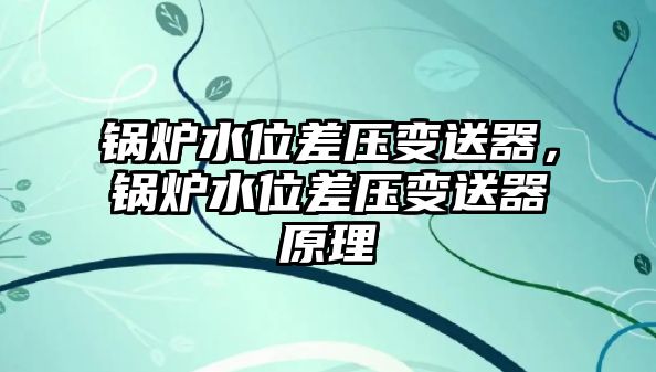 鍋爐水位差壓變送器，鍋爐水位差壓變送器原理