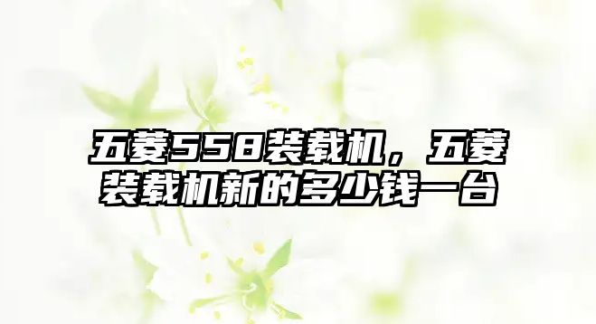 五菱558裝載機(jī)，五菱裝載機(jī)新的多少錢一臺(tái)