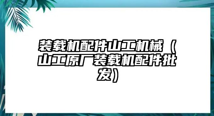 裝載機(jī)配件山工機(jī)械（山工原廠(chǎng)裝載機(jī)配件批發(fā)）