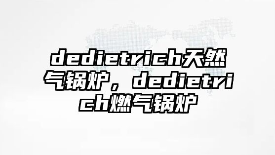 dedietrich天然氣鍋爐，dedietrich燃?xì)忮仩t