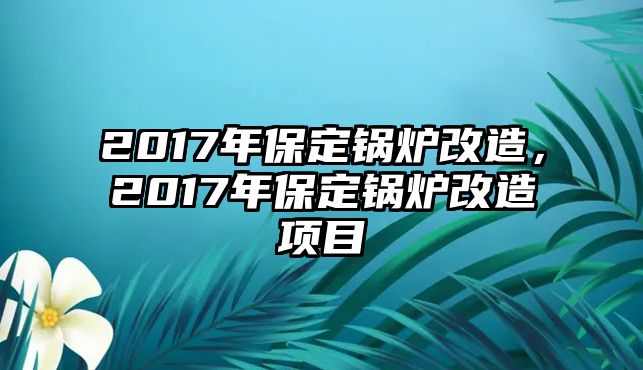 2017年保定鍋爐改造，2017年保定鍋爐改造項目