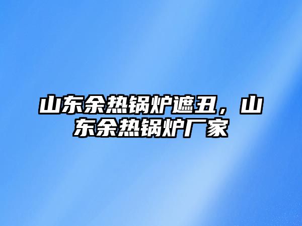 山東余熱鍋爐遮丑，山東余熱鍋爐廠家