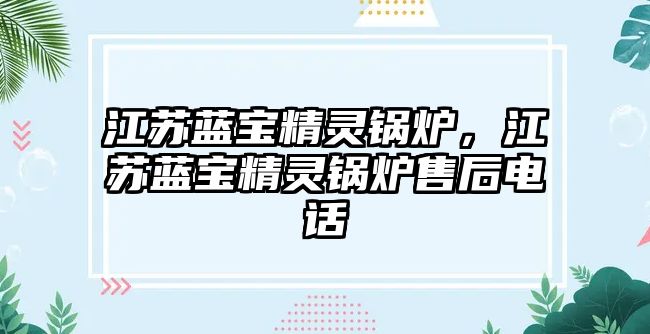 江蘇藍(lán)寶精靈鍋爐，江蘇藍(lán)寶精靈鍋爐售后電話