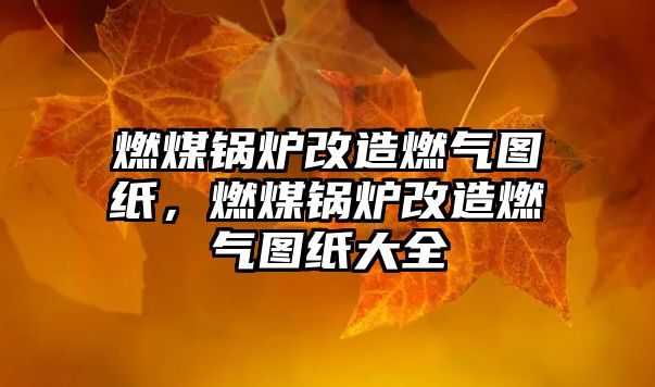 燃煤鍋爐改造燃?xì)鈭D紙，燃煤鍋爐改造燃?xì)鈭D紙大全