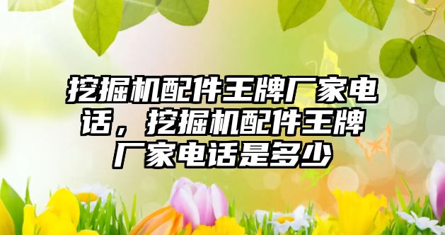 挖掘機配件王牌廠家電話，挖掘機配件王牌廠家電話是多少