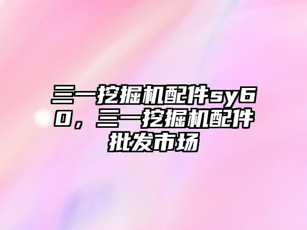 三一挖掘機配件sy60，三一挖掘機配件批發(fā)市場