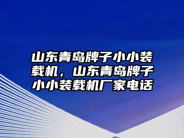 山東青島牌子小小裝載機，山東青島牌子小小裝載機廠家電話