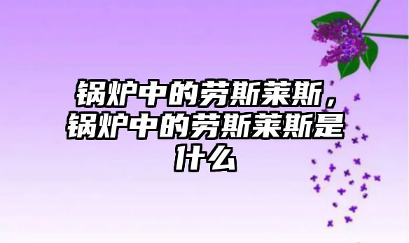 鍋爐中的勞斯萊斯，鍋爐中的勞斯萊斯是什么