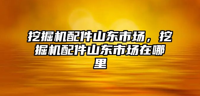 挖掘機配件山東市場，挖掘機配件山東市場在哪里