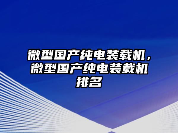 微型國產(chǎn)純電裝載機，微型國產(chǎn)純電裝載機排名