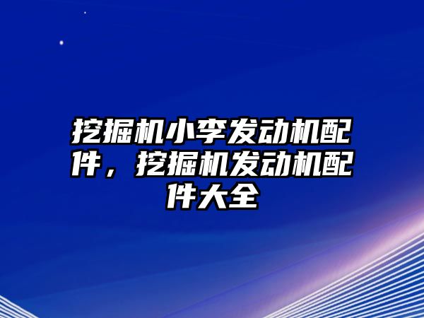 挖掘機小李發(fā)動機配件，挖掘機發(fā)動機配件大全