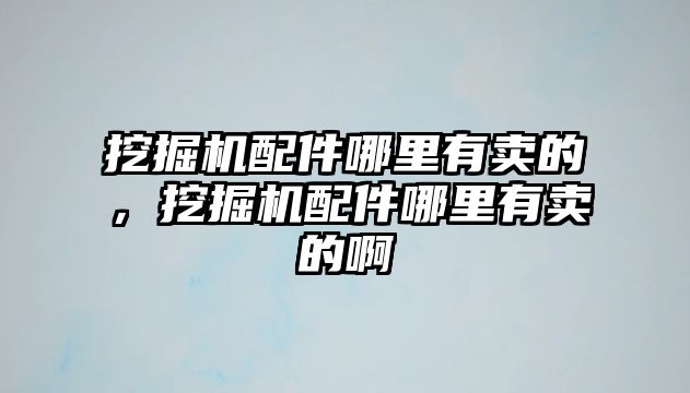 挖掘機配件哪里有賣的，挖掘機配件哪里有賣的啊