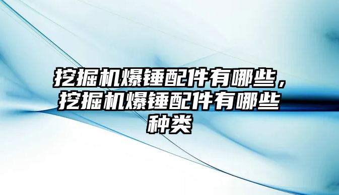 挖掘機爆錘配件有哪些，挖掘機爆錘配件有哪些種類