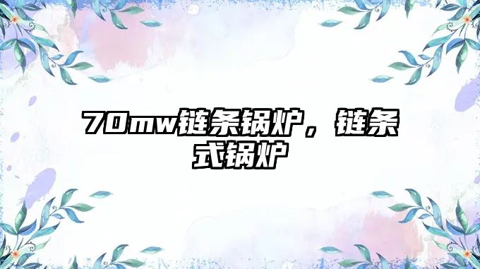 70mw鏈條鍋爐，鏈條式鍋爐