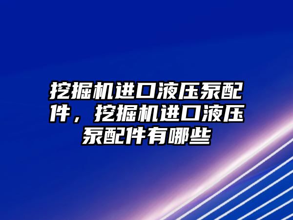 挖掘機進口液壓泵配件，挖掘機進口液壓泵配件有哪些