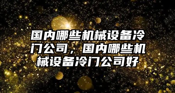 國內(nèi)哪些機(jī)械設(shè)備冷門公司，國內(nèi)哪些機(jī)械設(shè)備冷門公司好