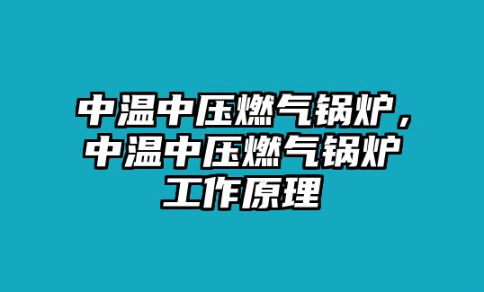 中溫中壓燃?xì)忮仩t，中溫中壓燃?xì)忮仩t工作原理