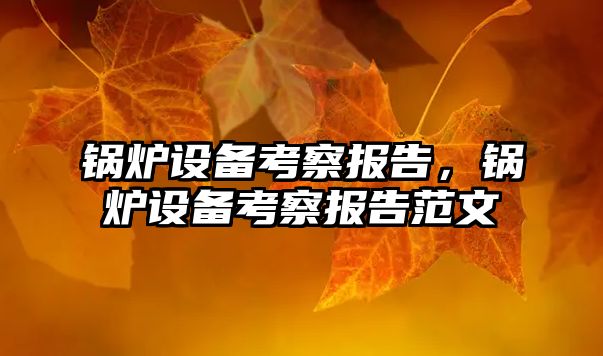 鍋爐設(shè)備考察報(bào)告，鍋爐設(shè)備考察報(bào)告范文