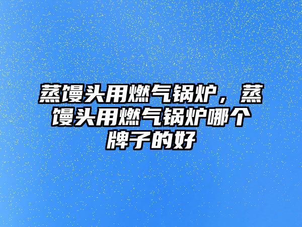 蒸饅頭用燃?xì)忮仩t，蒸饅頭用燃?xì)忮仩t哪個牌子的好