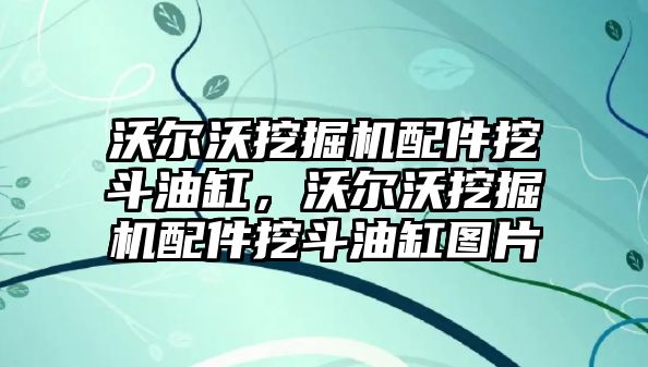 沃爾沃挖掘機配件挖斗油缸，沃爾沃挖掘機配件挖斗油缸圖片