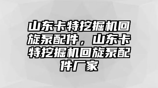 山東卡特挖掘機(jī)回旋泵配件，山東卡特挖掘機(jī)回旋泵配件廠家