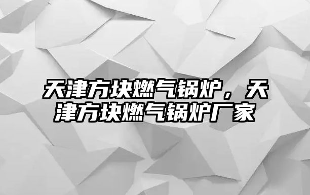 天津方塊燃?xì)忮仩t，天津方塊燃?xì)忮仩t廠家